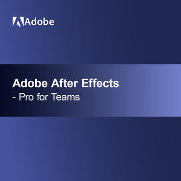 Adobe After Effects - Pro voor Teams