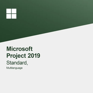 Microsoft Project 2019 Standaard, Meertalig