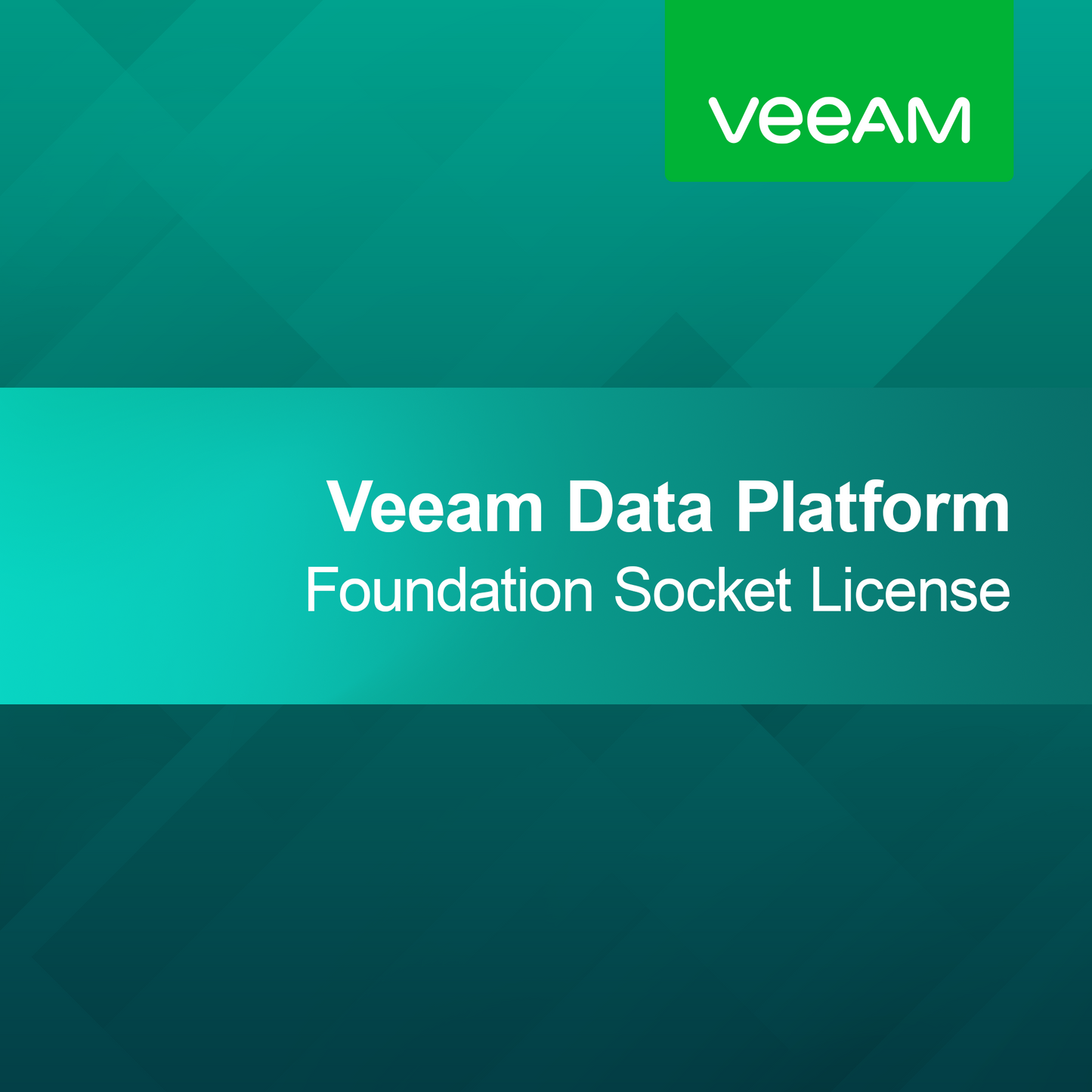 Veeam Data Platform Foundation Socket-licentie