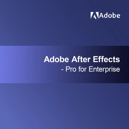 Adobe After Effects - Pro voor Enterprise