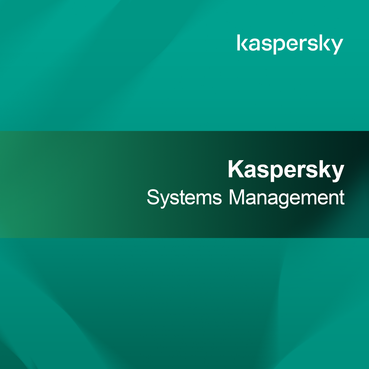 Kaspersky Systembeheer