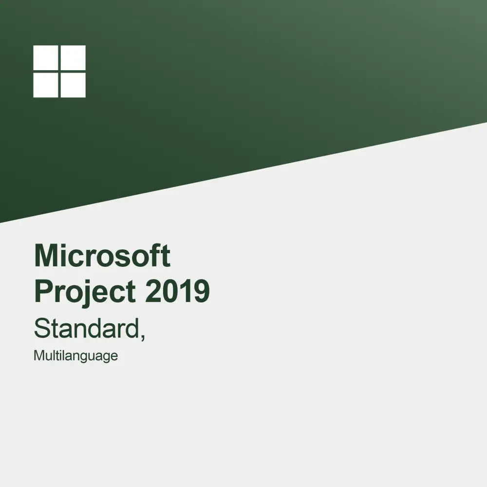 Microsoft Project 2019 Standaard, Meertalig