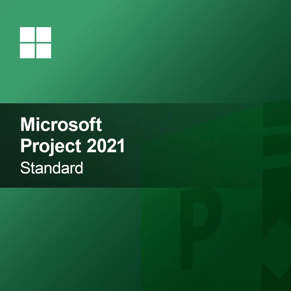 Microsoft Project 2021 Standaard